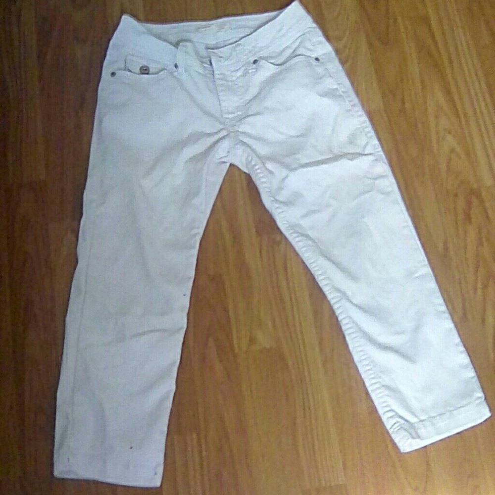 White Caprice - image 1